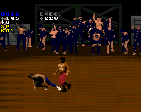 Pit-Fighter